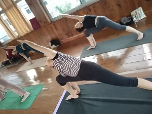 rishikesh best yoga institute 