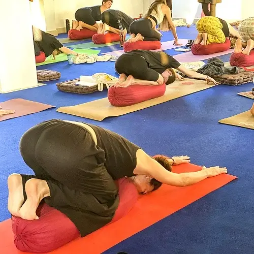 yoga teacher training in rishikesh india