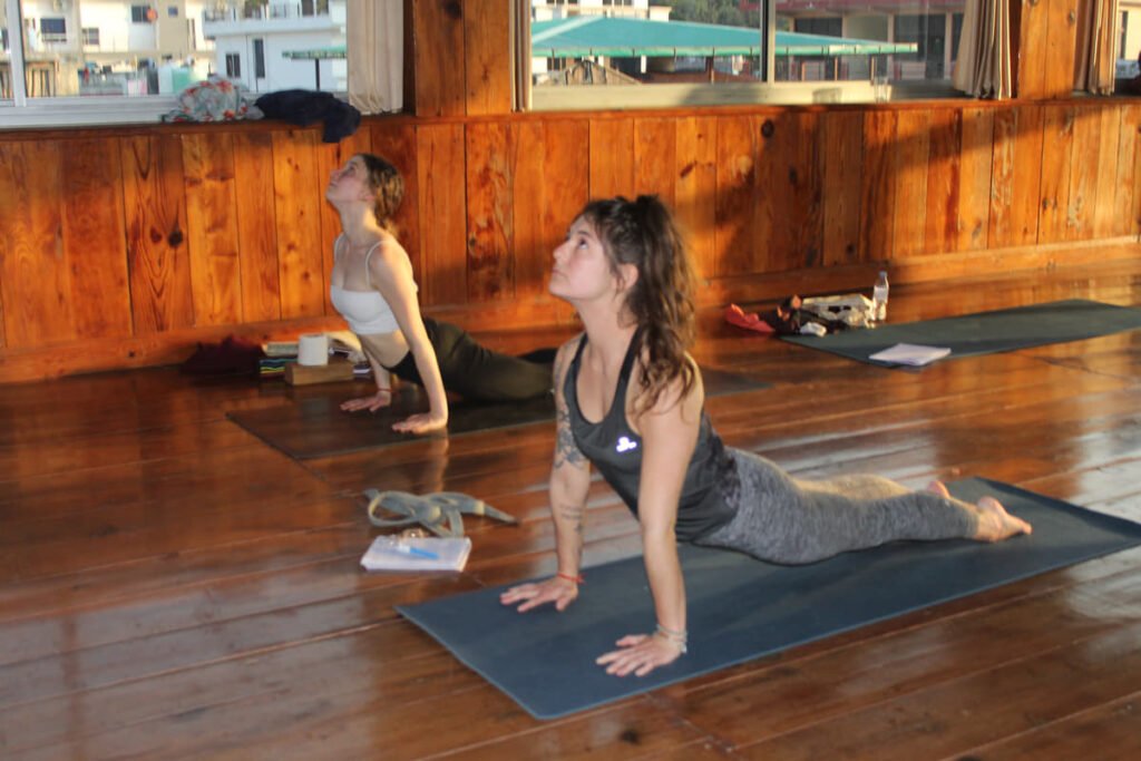 4 Reasons To Take a Yoga Teacher Training Course From Authentic