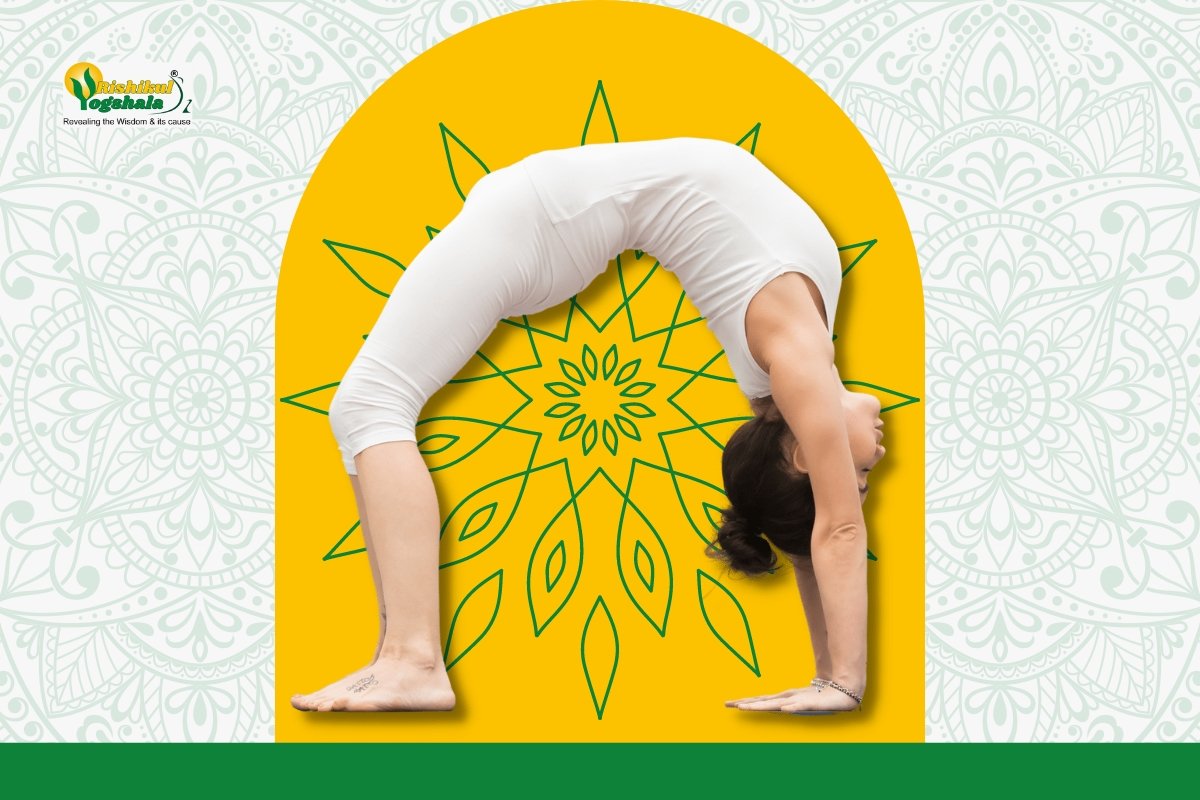 Chakrasana- Wheel Pose, How to do & Benefits