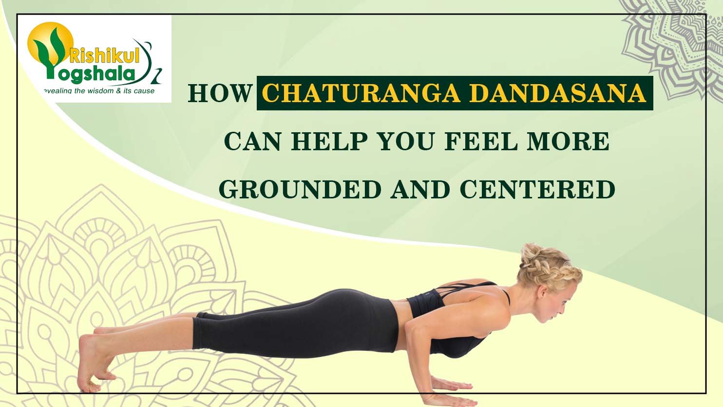 BENEFITS OF CHATURANGA FOUR LIMBED STAFF - Vinyasa Yoga Academy