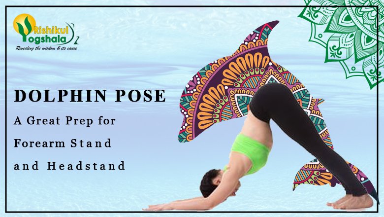 Pose of the Week Guide: Dolphin Pose - Oxygen Yoga Fitness
