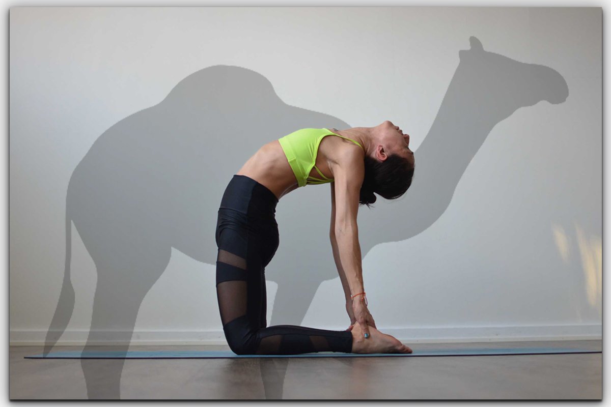 1,000+ Yoga Ustrasana Camel Pose Stock Photos, Pictures & Royalty-Free  Images - iStock