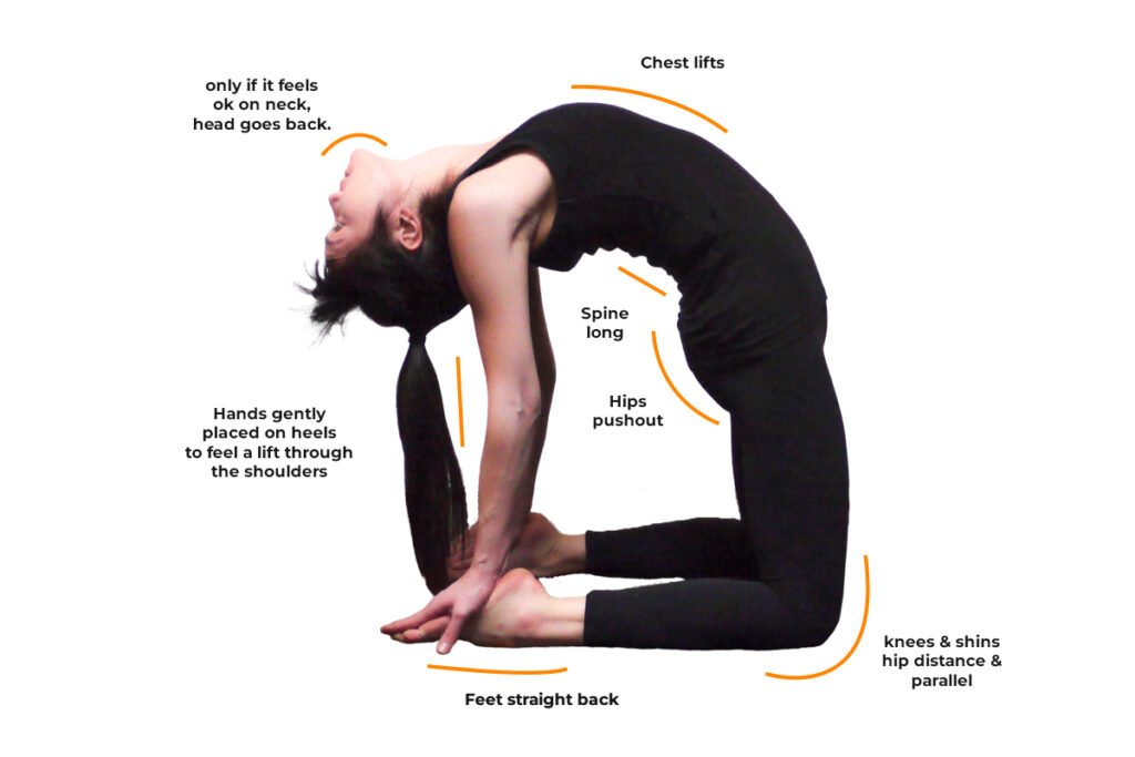 Camel (Ustrasana) – Yoga Poses Guide by WorkoutLabs