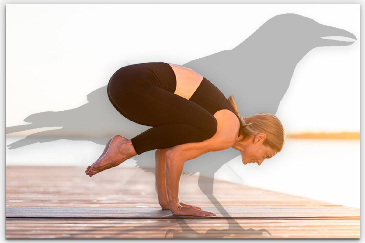 Yoga Pose Notebook: Eka Pada Bakasana I • Jason Crandell Yoga Method