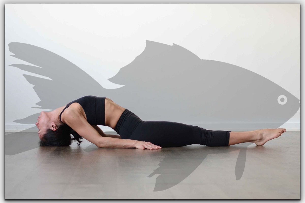 Fish pose / Matsya Asana | How to do for Beginners | Benefits | Yog4lyf  #yogaforthyroid - YouTube