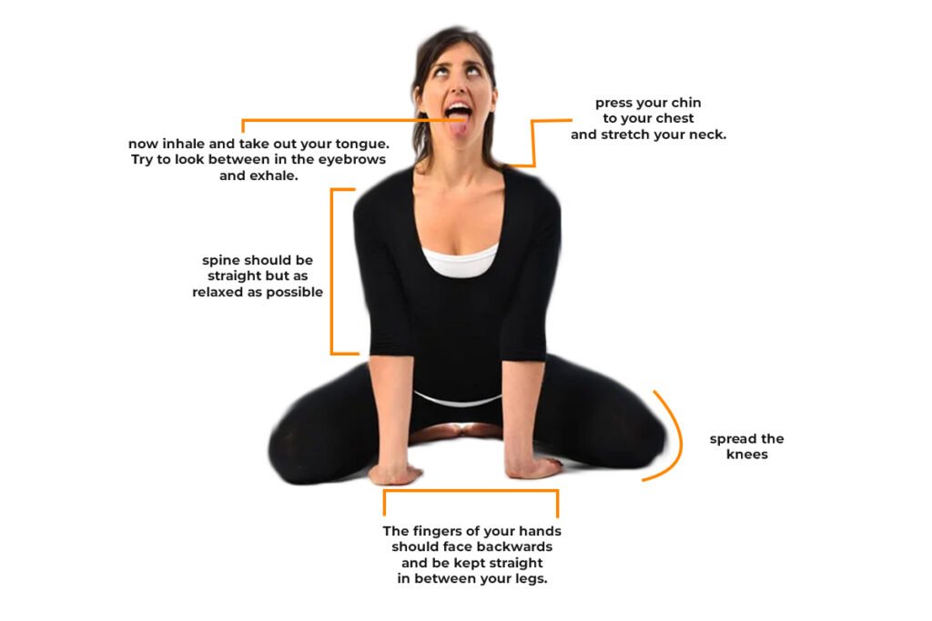 Yoga: Simhasana - The Lion Pose | Top yoga poses, Hip opening yoga, Yoga  asanas