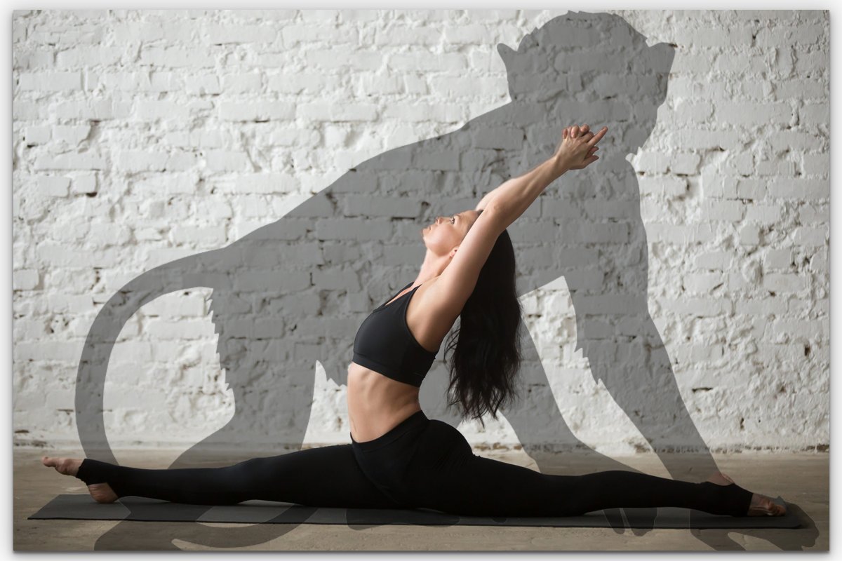 Iyengar Yoga Forward Bends: A Comprehensive Online Guide | Yoga Selection