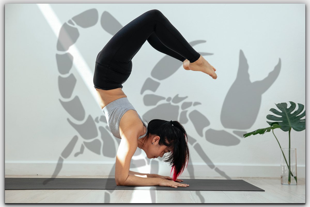 Fitness Planner | How to go from being a Yoga novice to doing the Scorpion  pose in 6 months - Part 1