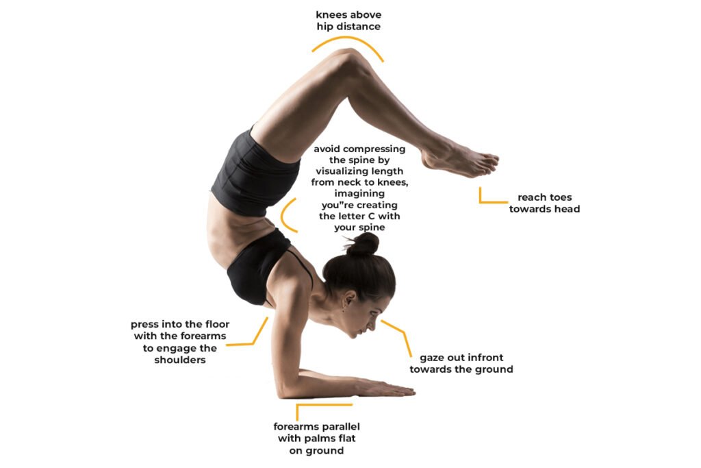 Scorpion Pose Guide: Build Confidence for this Challenging Inversion with  Detailed, Step-by-Step Instructions - The Yoga Nomads