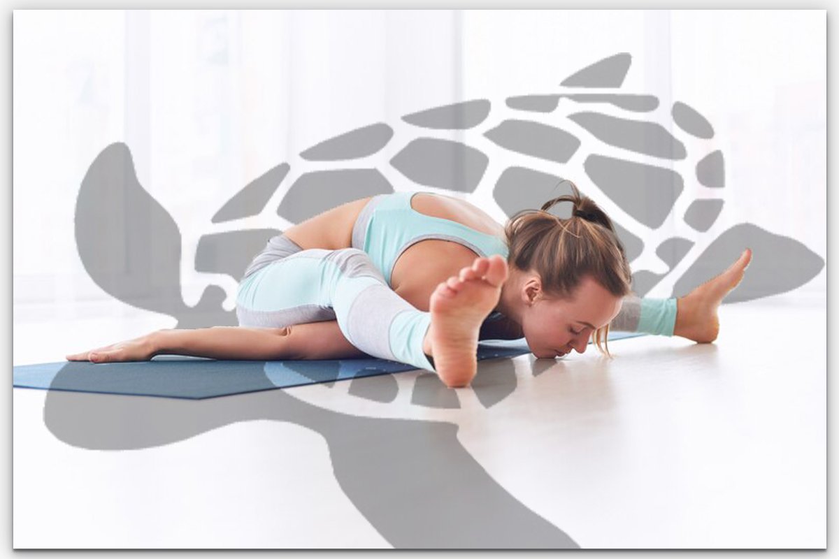 How to do Sarvangasana – Benefits & Yoga Pose Tutorial - Adventure Yoga  Online