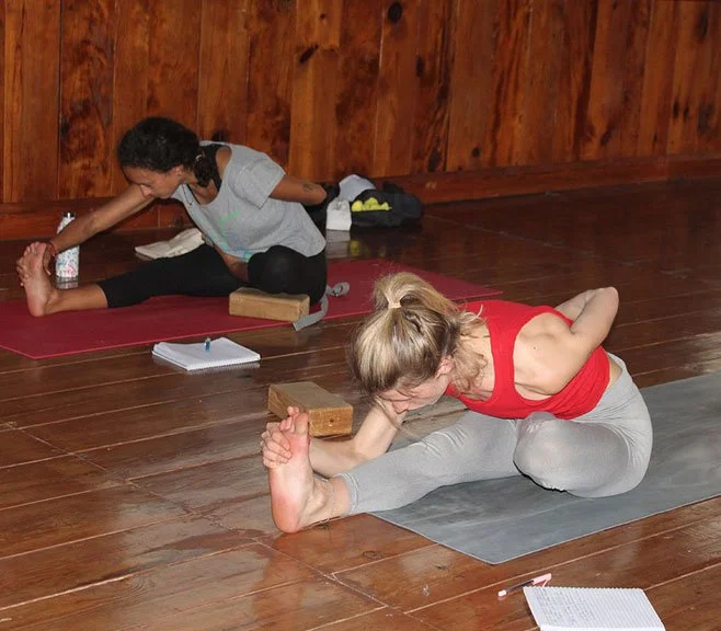 Students practicing yoga during 500 Hour YTTC at Rishikul Yogshala
